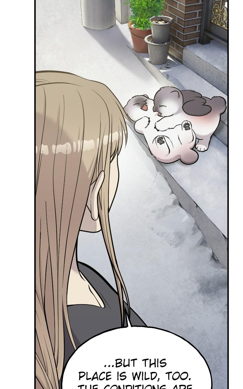 Hello, Little Griffin! Chapter 37 page 13 - 