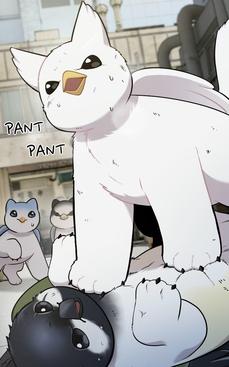 Hello, Little Griffin! Chapter 37 page 31 - 