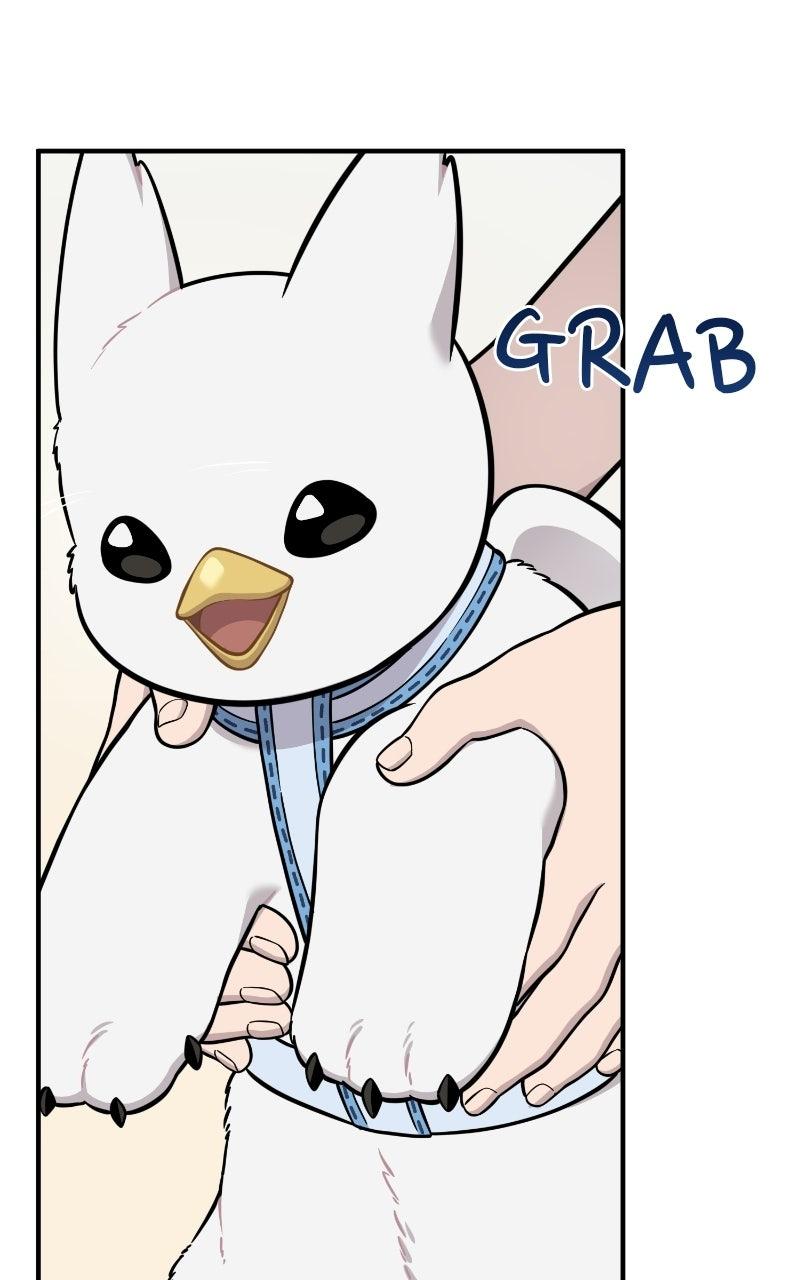 Hello, Little Griffin! Chapter 37 page 72 - 