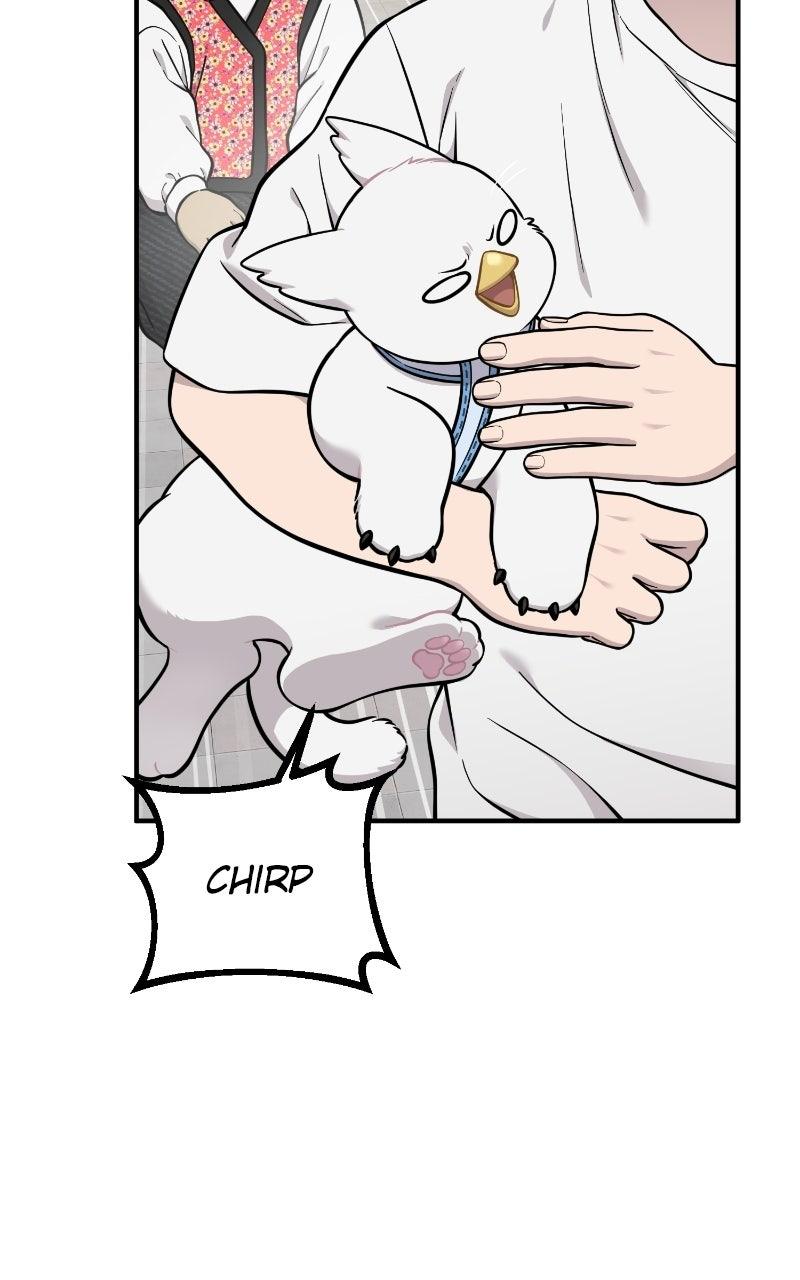 Hello, Little Griffin! Chapter 37 page 74 - 