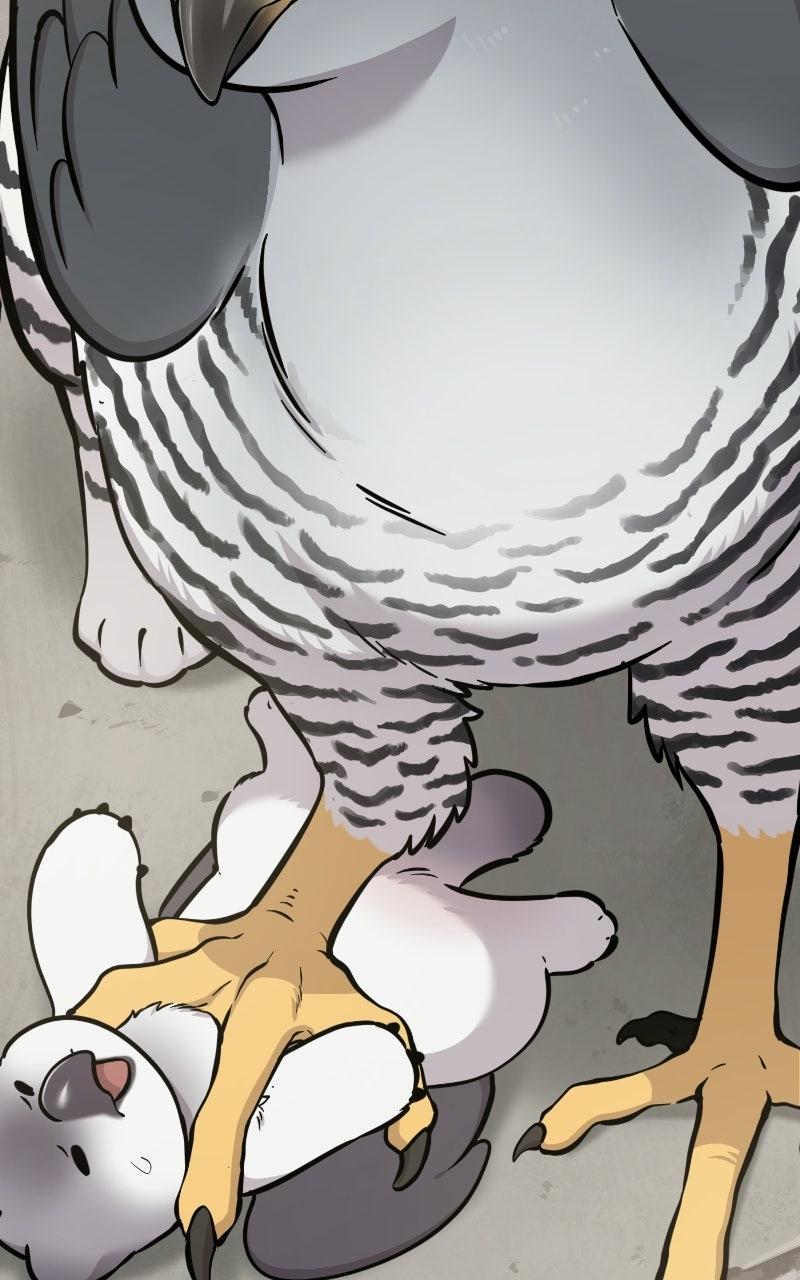 Hello, Little Griffin! Chapter 38 page 105 - 