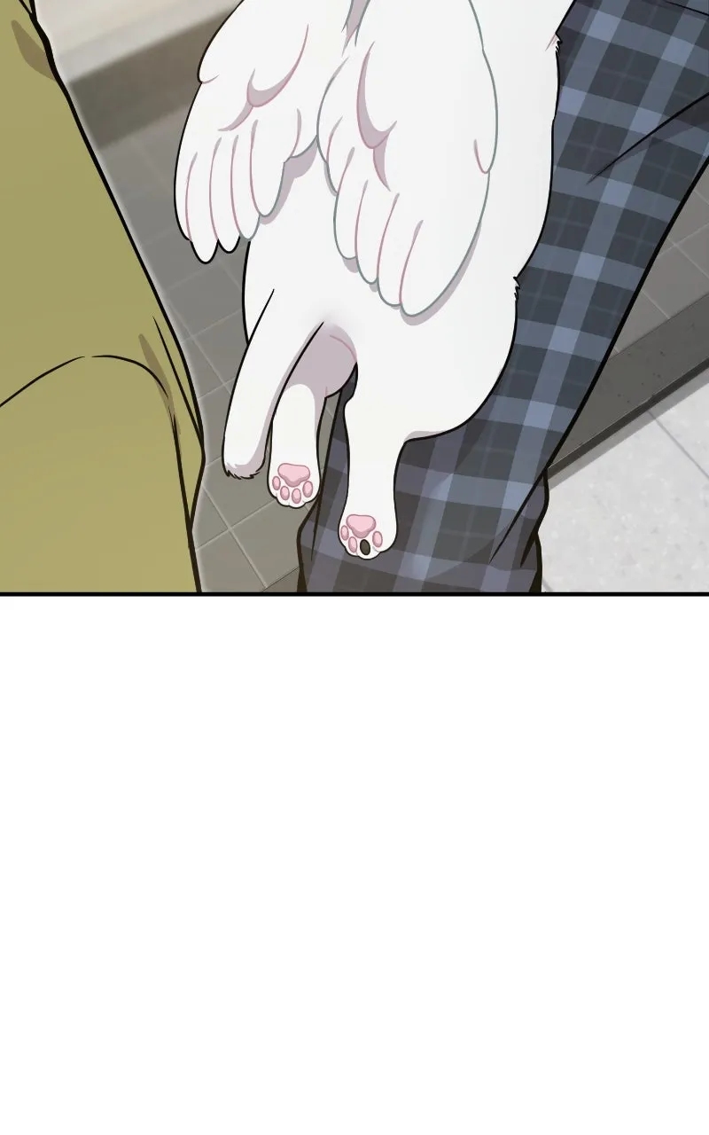 Hello, Little Griffin! Chapter 4 page 107 - 