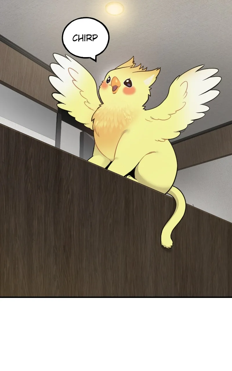 Hello, Little Griffin! Chapter 4 page 25 - 