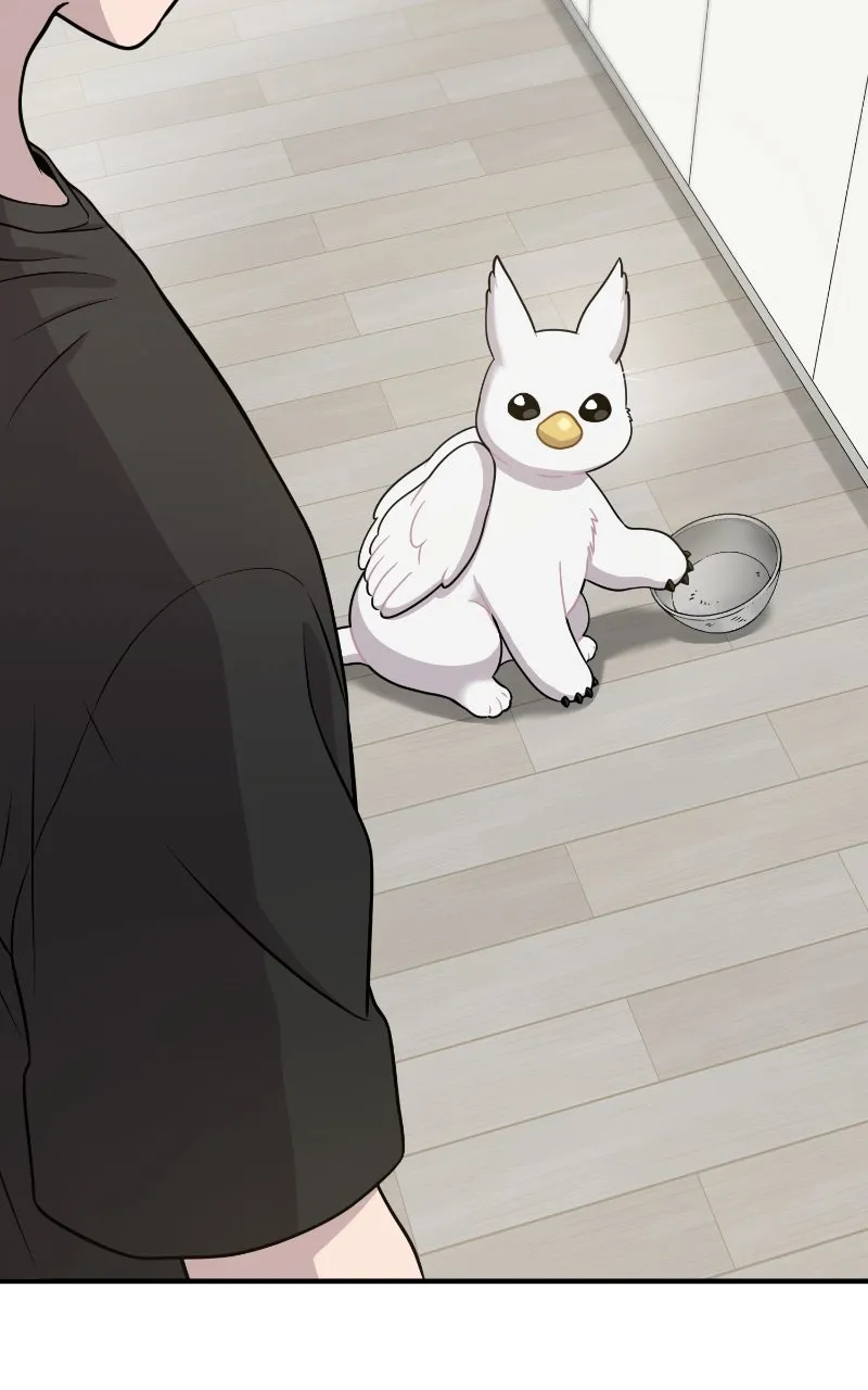 Hello, Little Griffin! Chapter 4 page 80 - 