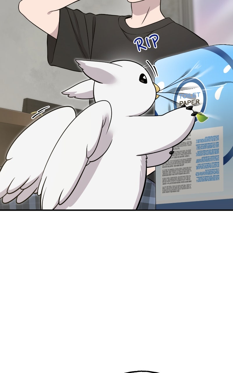 Hello, Little Griffin! Ep. 5 - Reality Check page 8 - 