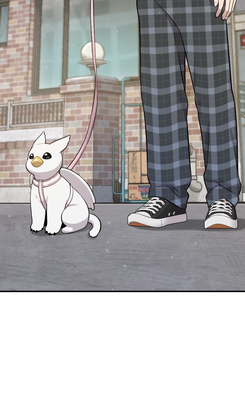 Hello, Little Griffin! Ep. 6 - First Walk page 11 - 