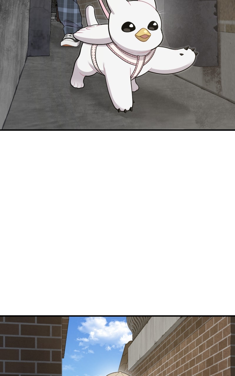 Hello, Little Griffin! Ep. 6 - First Walk page 30 - 
