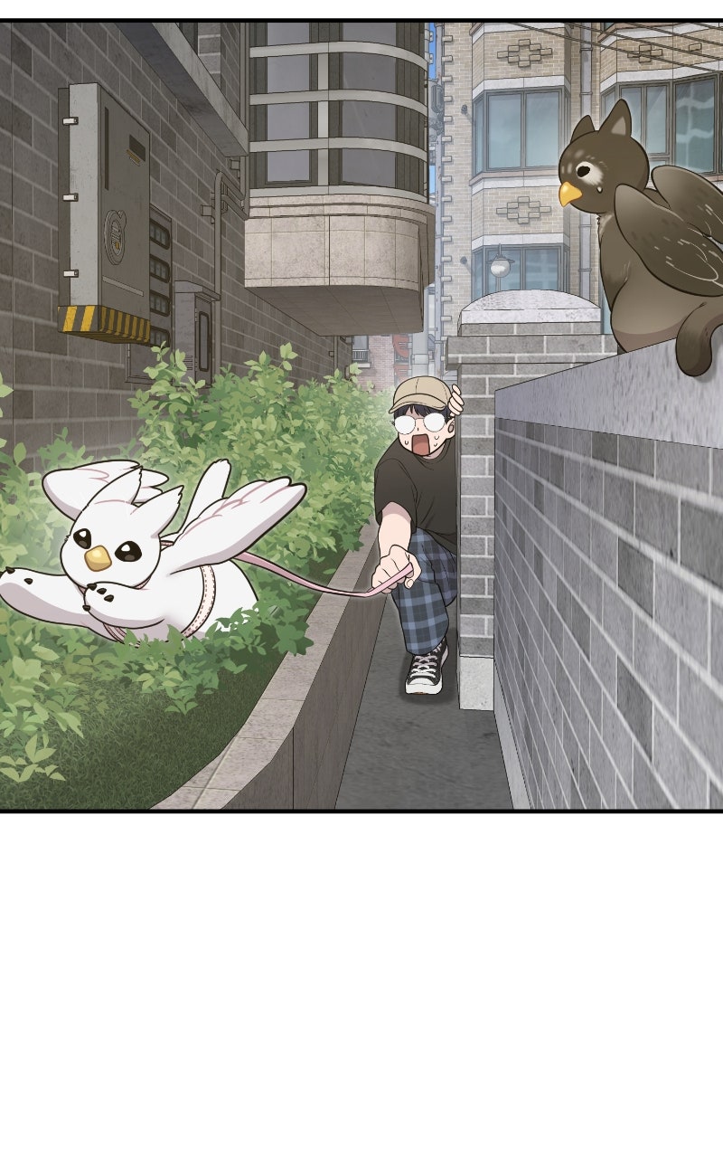 Hello, Little Griffin! Ep. 6 - First Walk page 32 - 