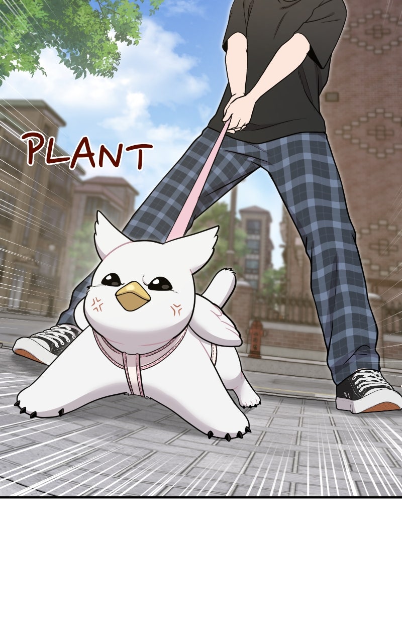 Hello, Little Griffin! Ep. 6 - First Walk page 37 - 