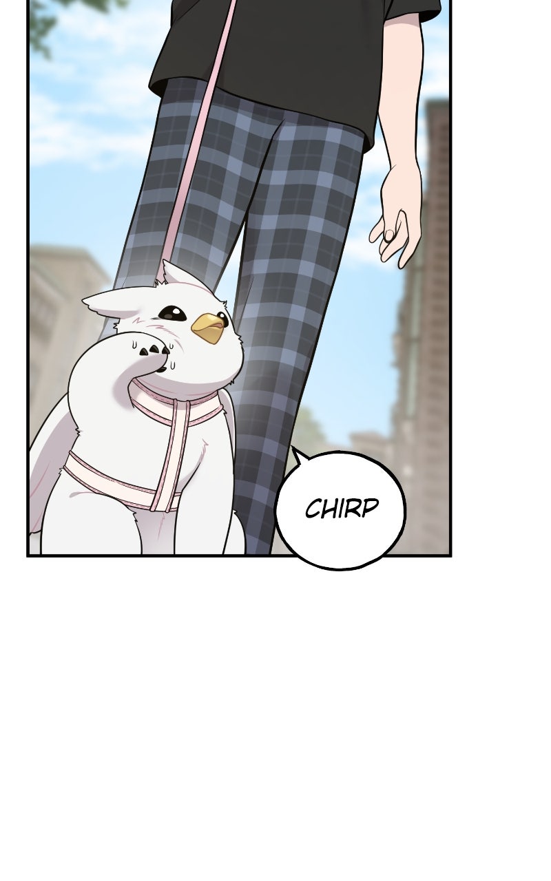Hello, Little Griffin! Ep. 6 - First Walk page 50 - 