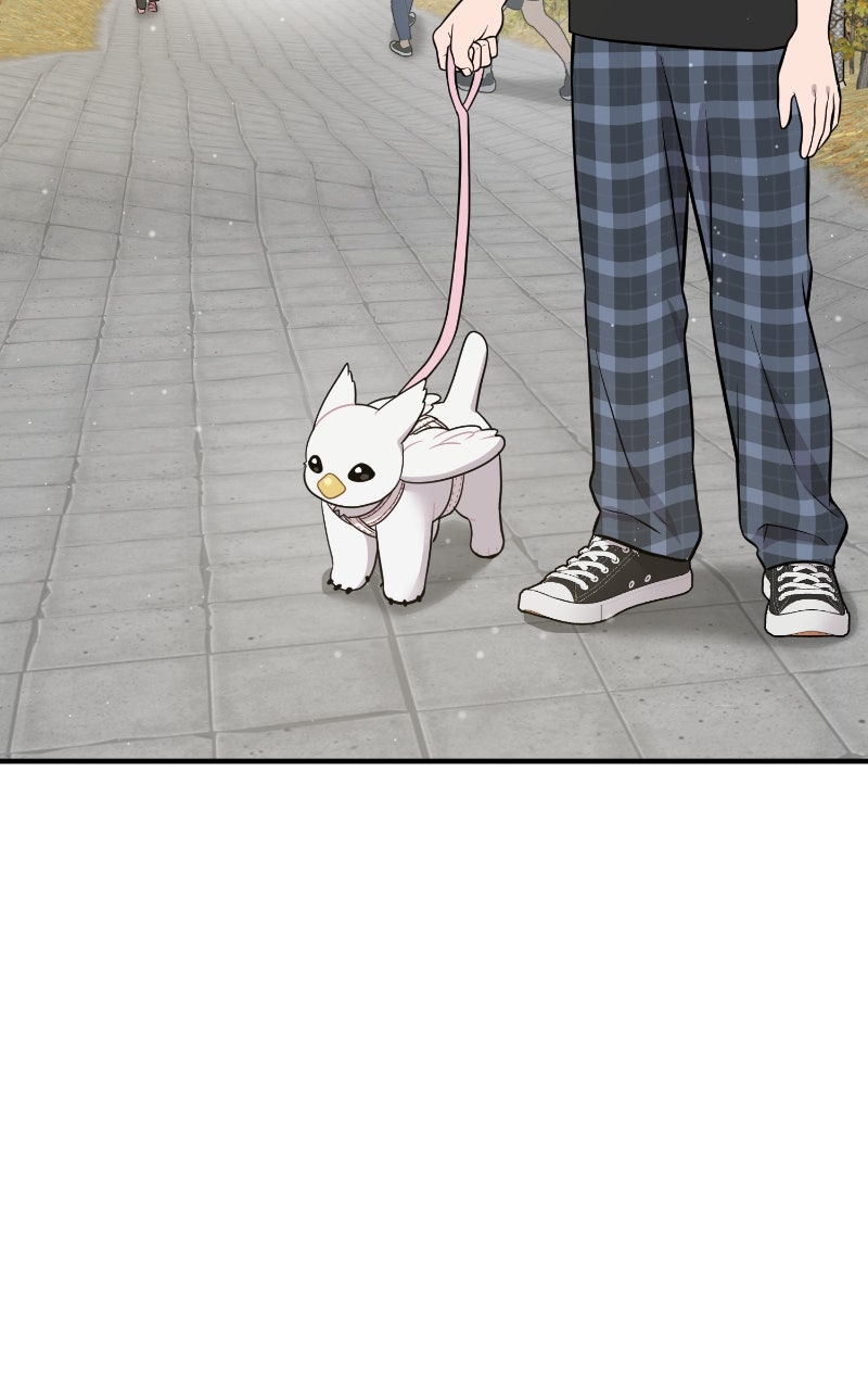Hello, Little Griffin! Ep. 6 - First Walk page 56 - 