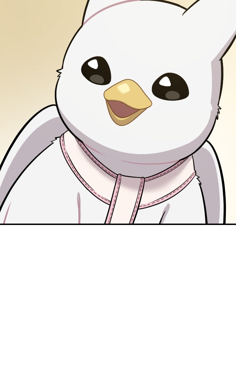 Hello, Little Griffin! Ep. 6 - First Walk page 84 - 
