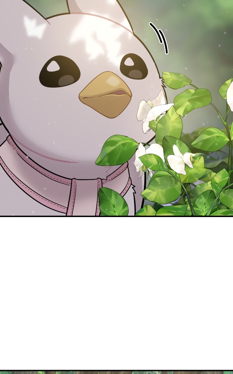 Hello, Little Griffin! Ep. 6 - First Walk page 92 - 