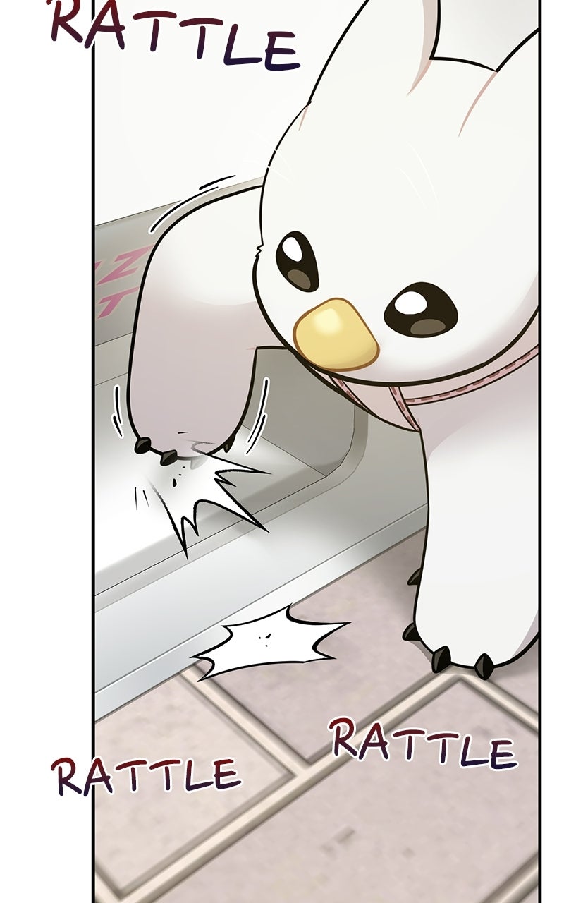 Hello, Little Griffin! Ep. 7 - I Want It! page 51 - 