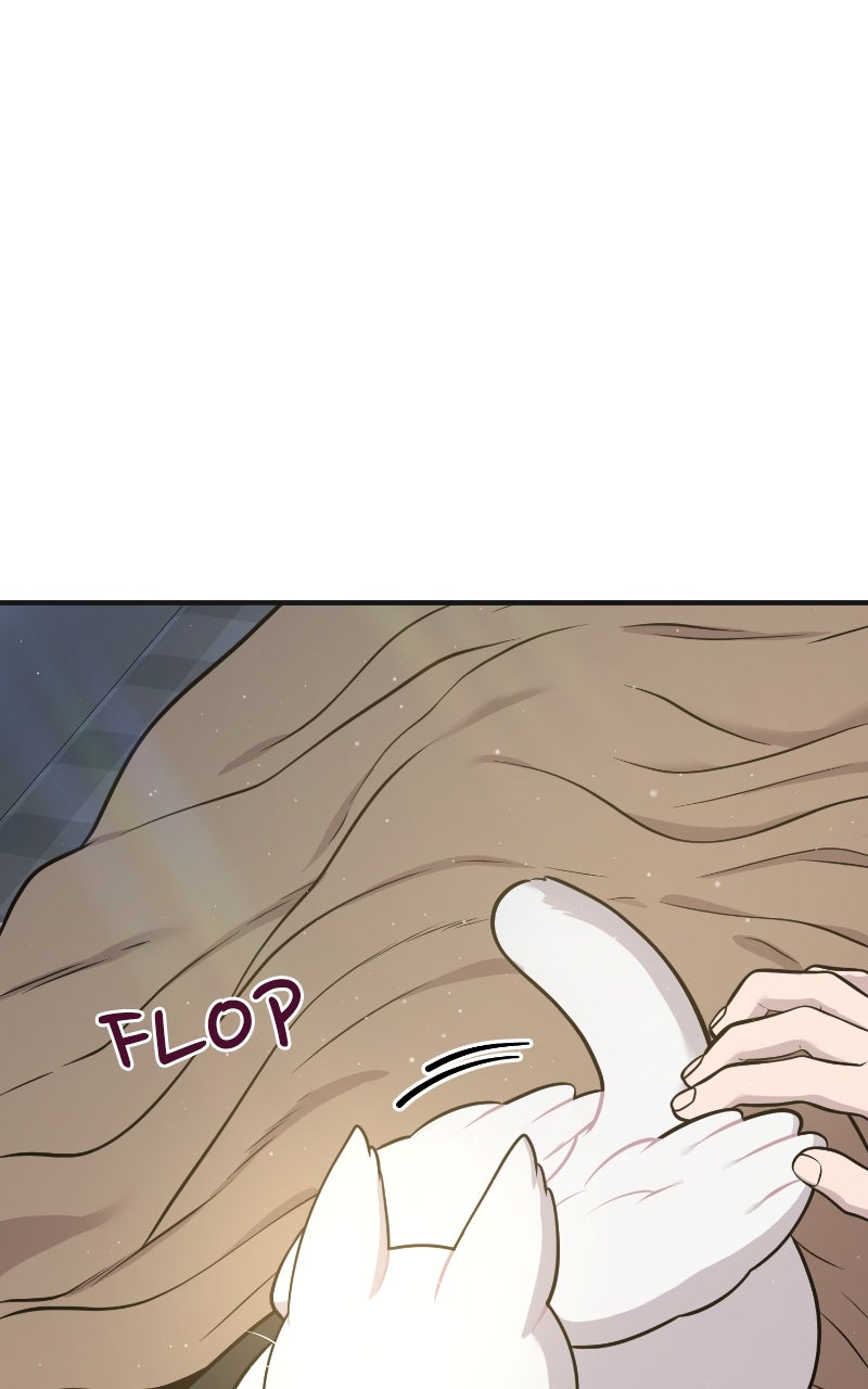 Hello, Little Griffin! Ep. 8 - Trying On Outfits page 18 - 