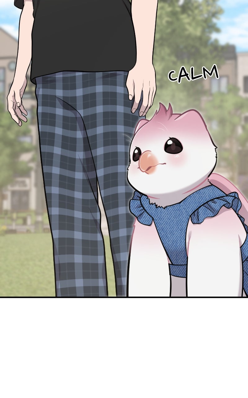 Hello, Little Griffin! Ep. 9 - Peach the Griffin page 16 - 