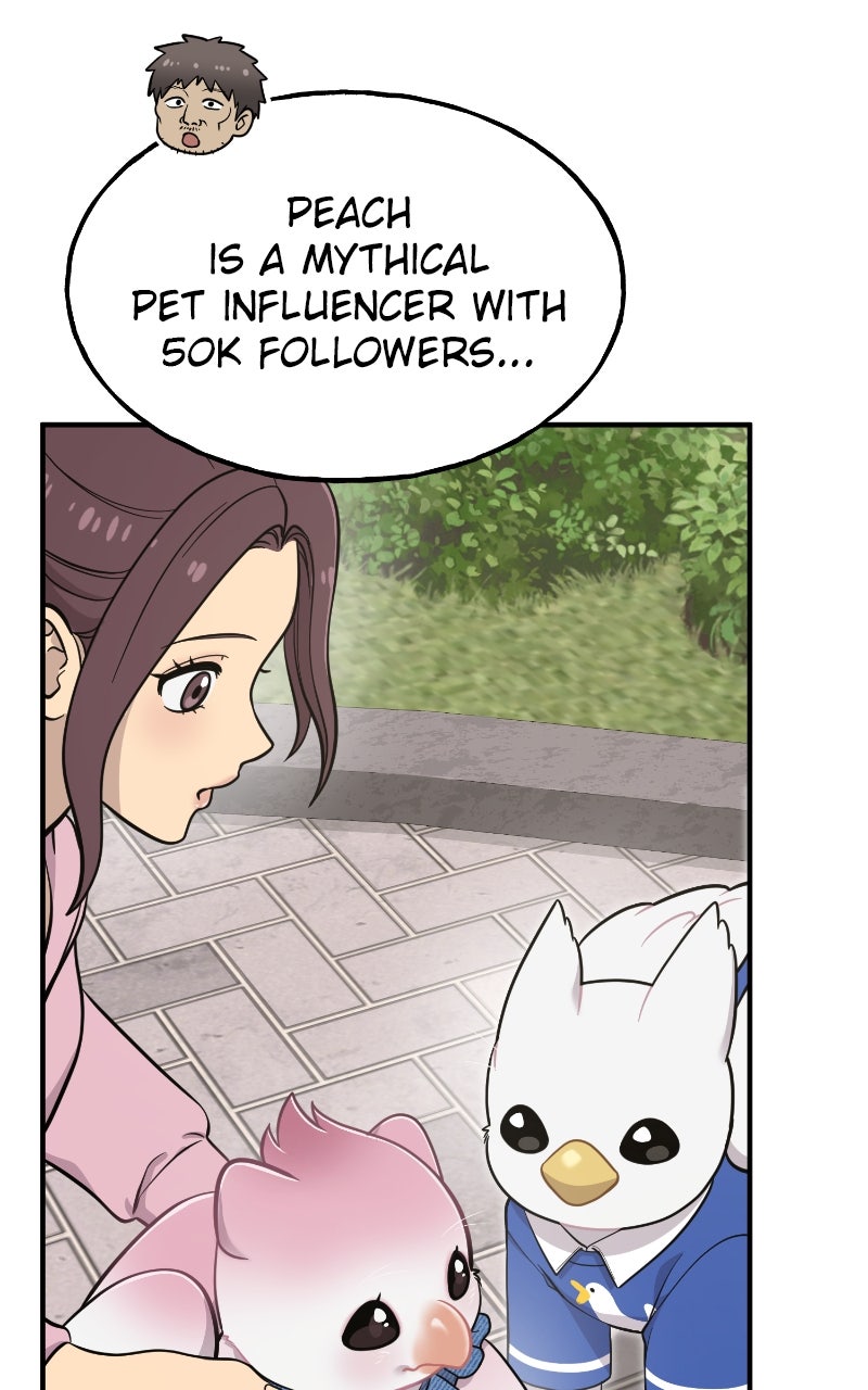 Hello, Little Griffin! Ep. 9 - Peach the Griffin page 37 - 