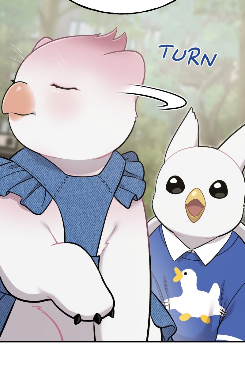 Hello, Little Griffin! Ep. 9 - Peach the Griffin page 41 - 