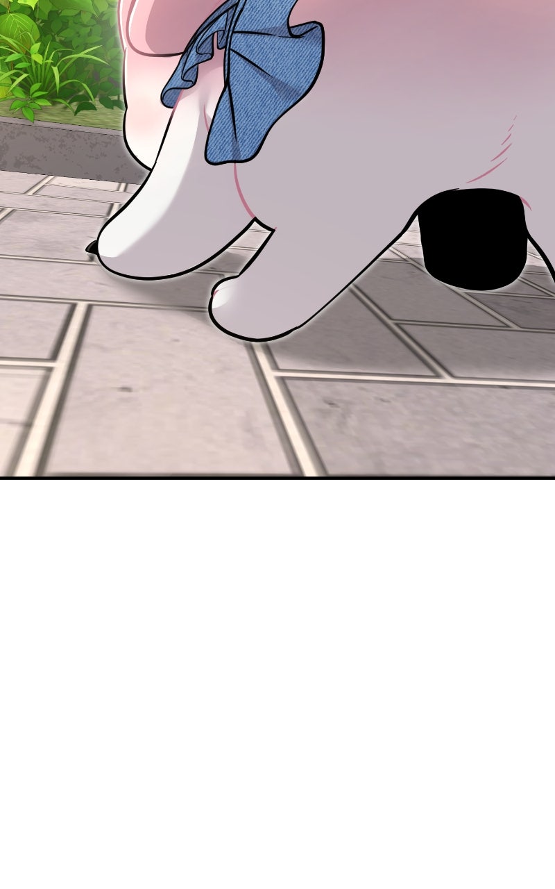 Hello, Little Griffin! Ep. 9 - Peach the Griffin page 71 - 