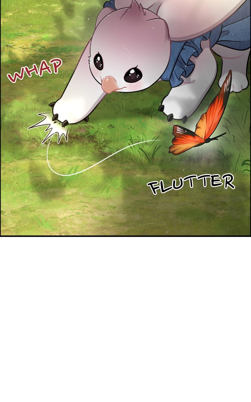 Hello, Little Griffin! Ep. 9 - Peach the Griffin page 81 - 