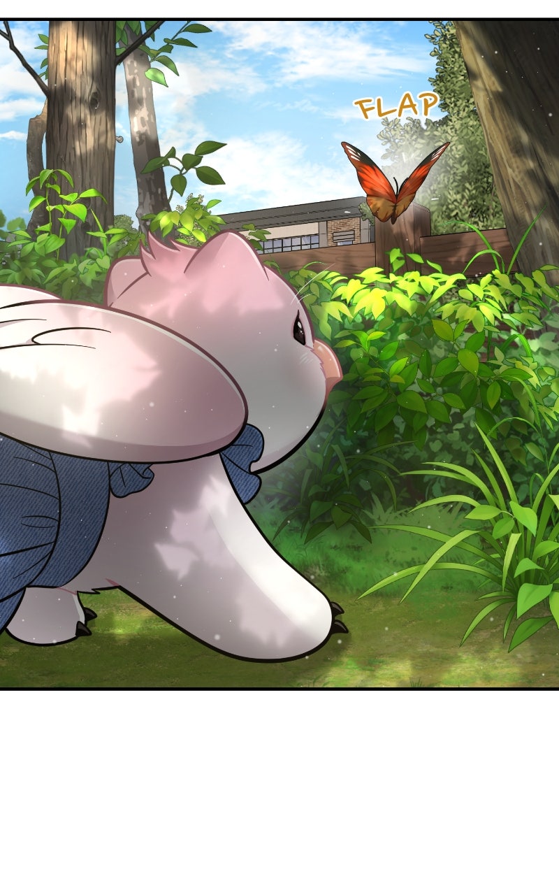 Hello, Little Griffin! Ep. 9 - Peach the Griffin page 82 - 