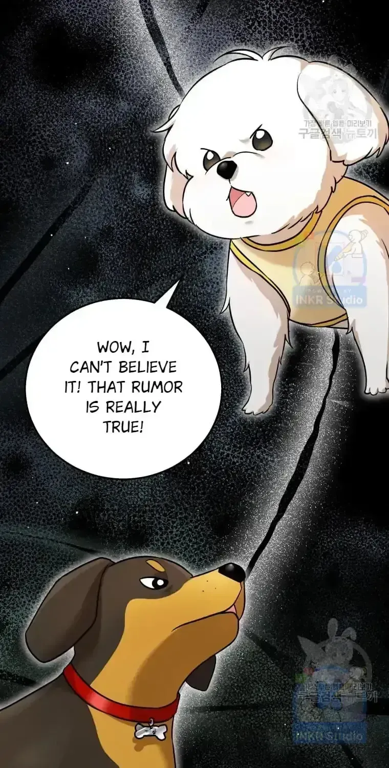 Hello, Mr. Veterinarian! Chapter 1.2 page 3 - 