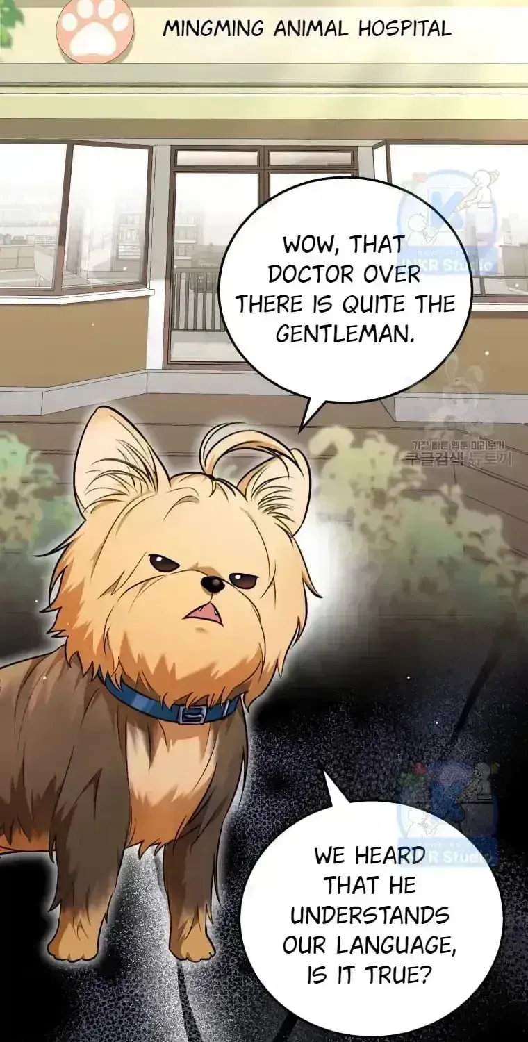 Hello, Mr. Veterinarian! Chapter 1.4 page 2 - 