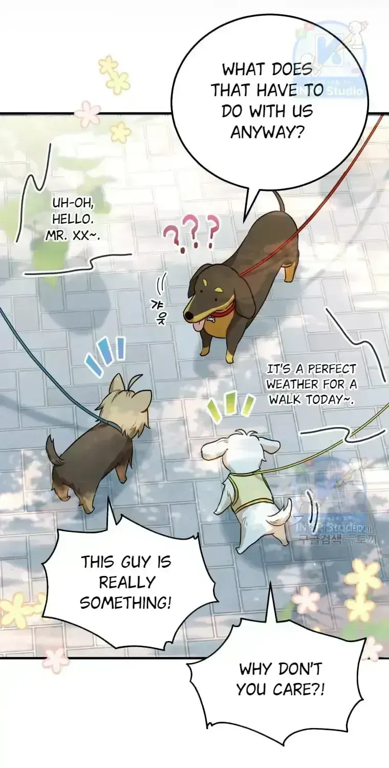 Hello, Mr. Veterinarian! Chapter 1.4 page 5 - 