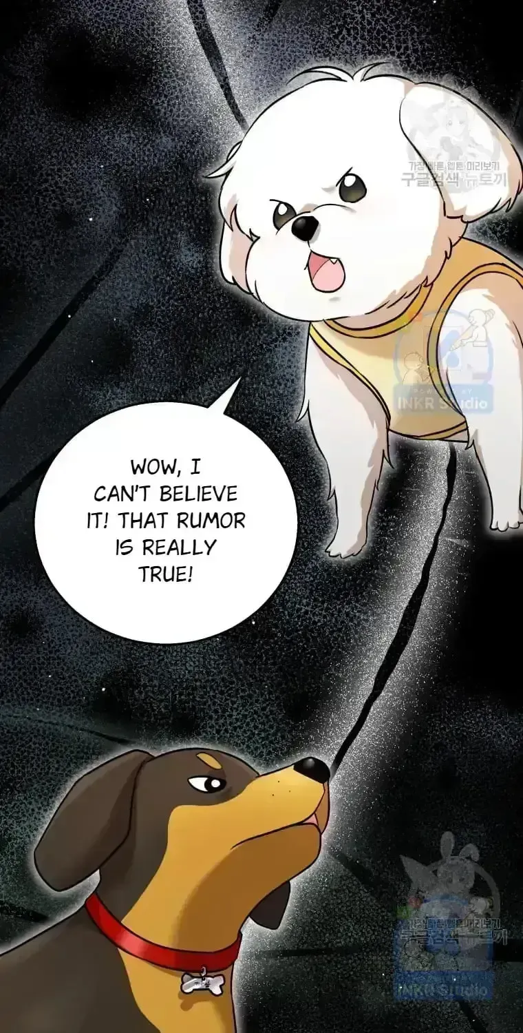 Hello, Mr. Veterinarian! Chapter 1.8 page 3 - 