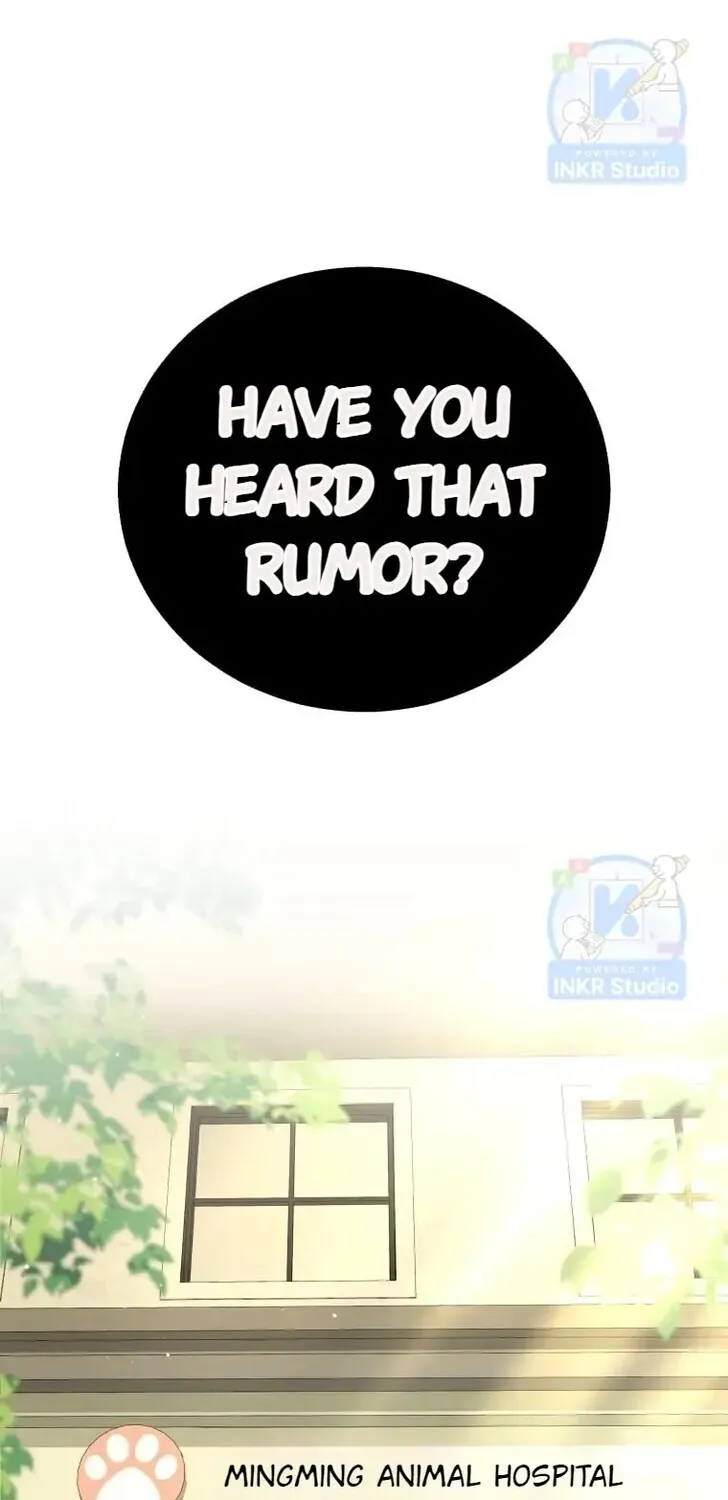 Hello, Mr. Veterinarian! Chapter 1 page 1 - 