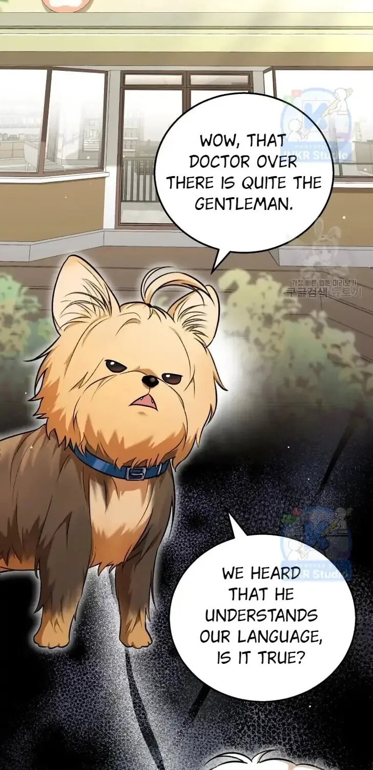 Hello, Mr. Veterinarian! Chapter 1 page 2 - 