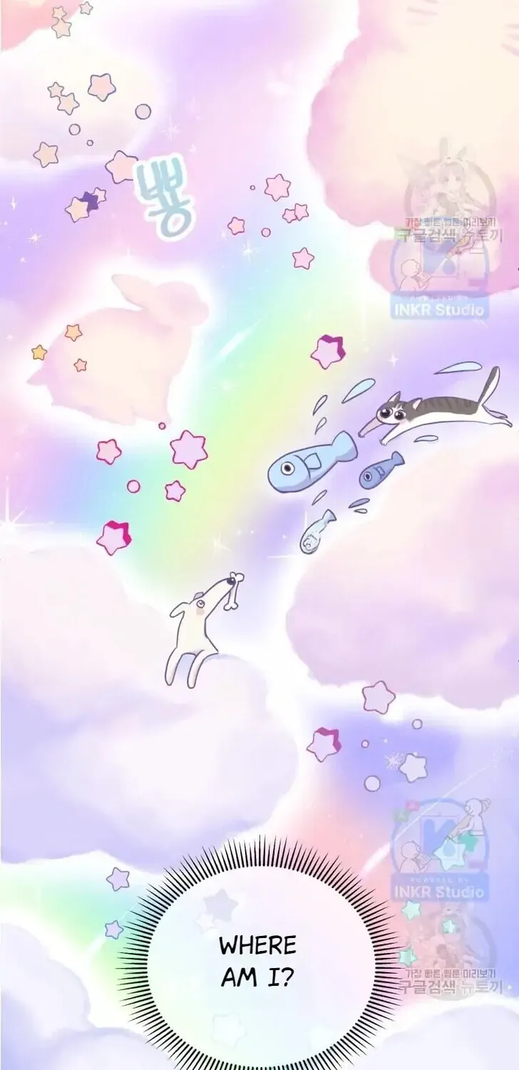 Hello, Mr. Veterinarian! Chapter 1 page 12 - 