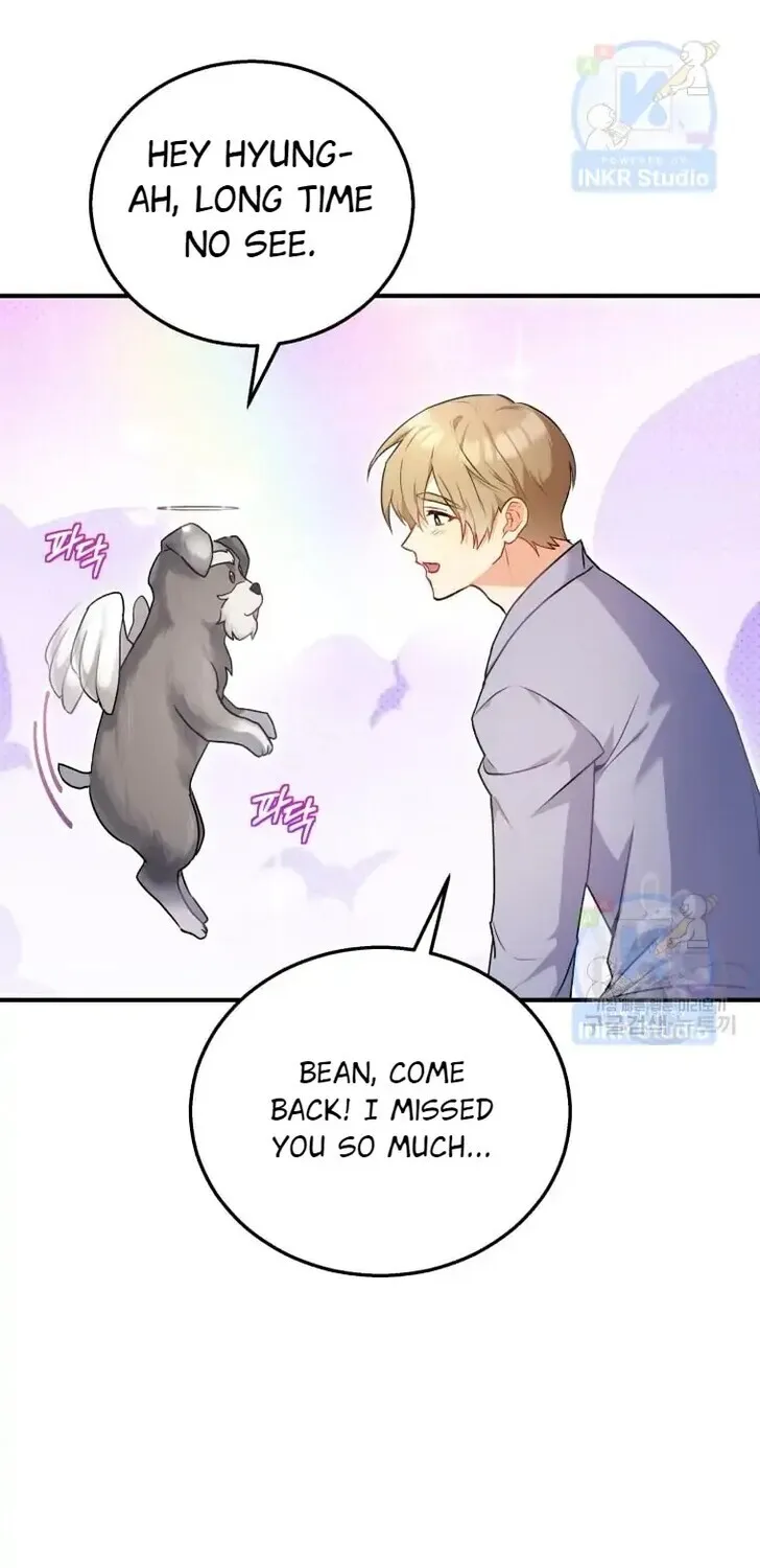 Hello, Mr. Veterinarian! Chapter 1 page 19 - 