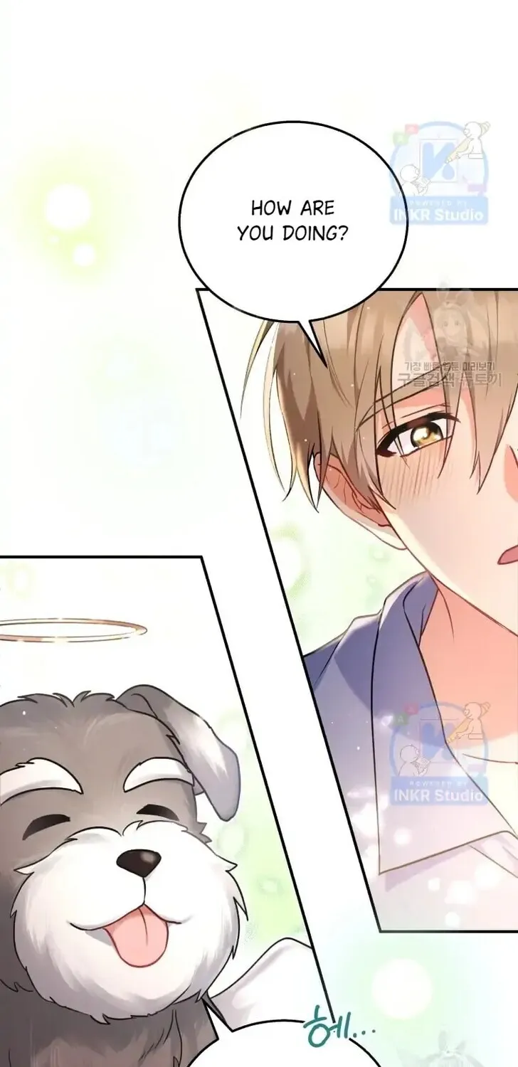 Hello, Mr. Veterinarian! Chapter 1 page 20 - 