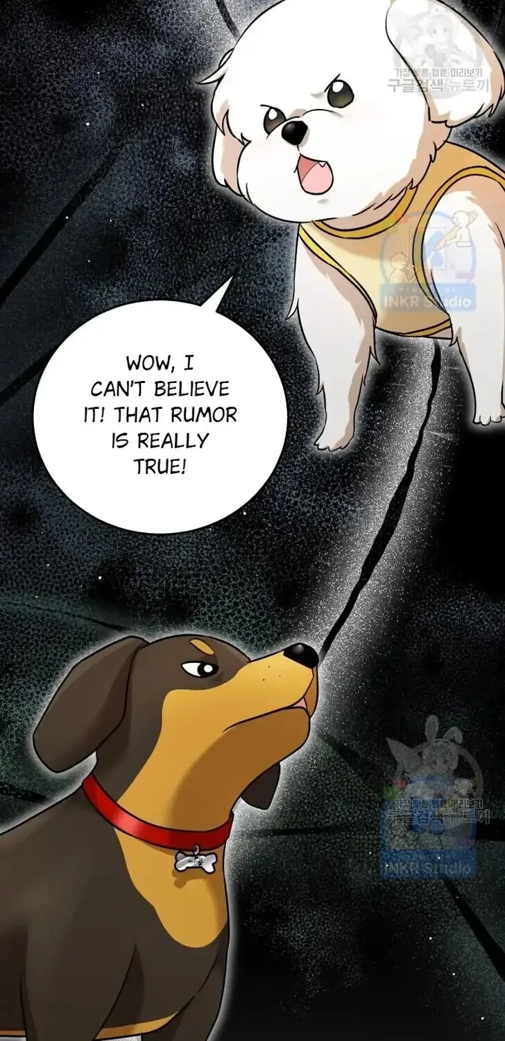Hello, Mr. Veterinarian! Chapter 1 page 3 - 
