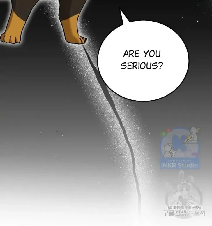 Hello, Mr. Veterinarian! Chapter 1 page 4 - 