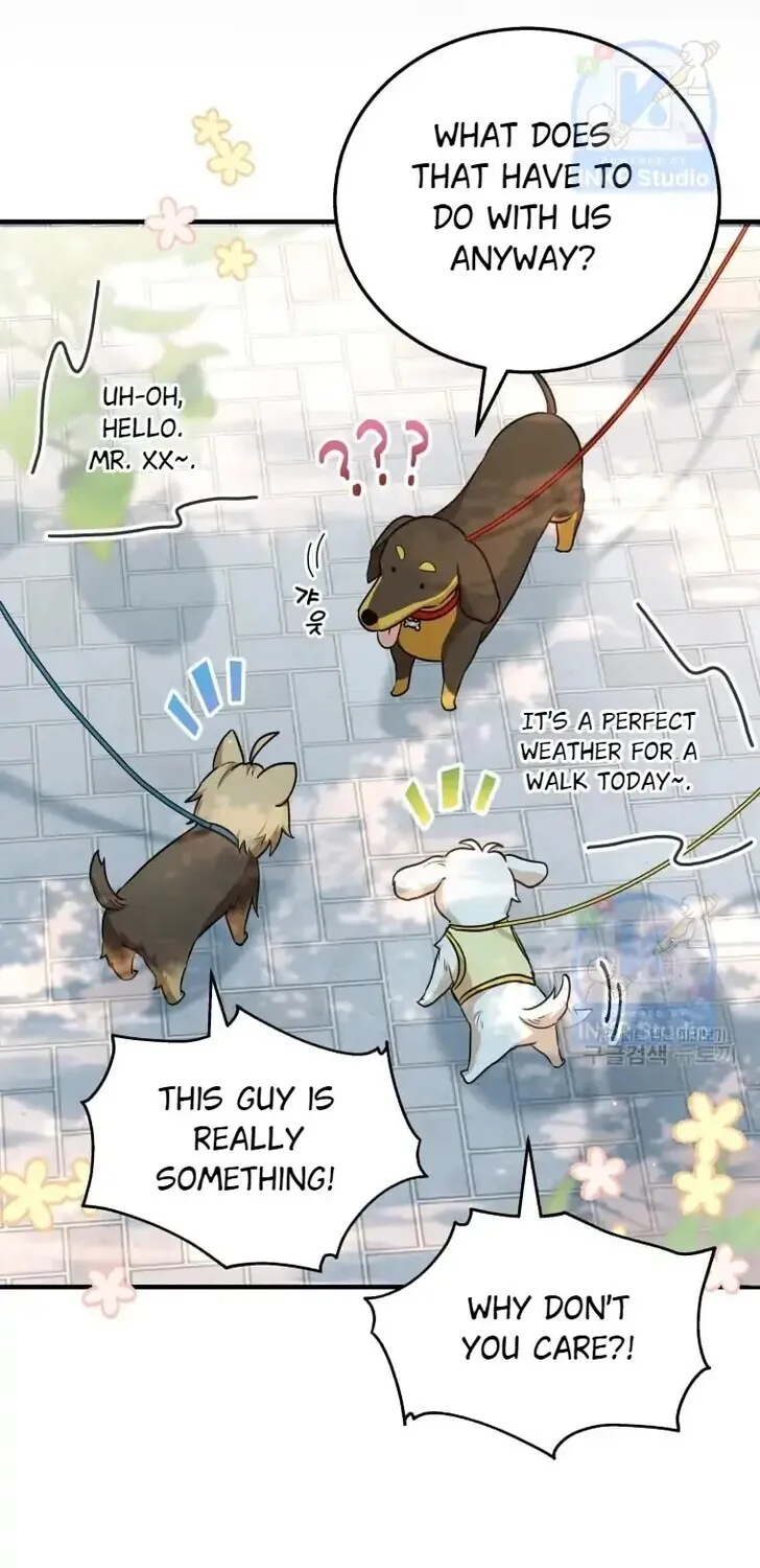 Hello, Mr. Veterinarian! Chapter 1 page 5 - 