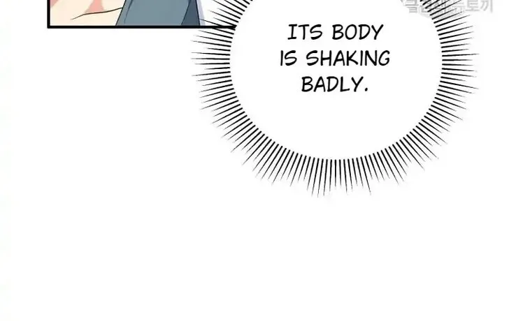 Hello, Mr. Veterinarian! Chapter 1 page 67 - 