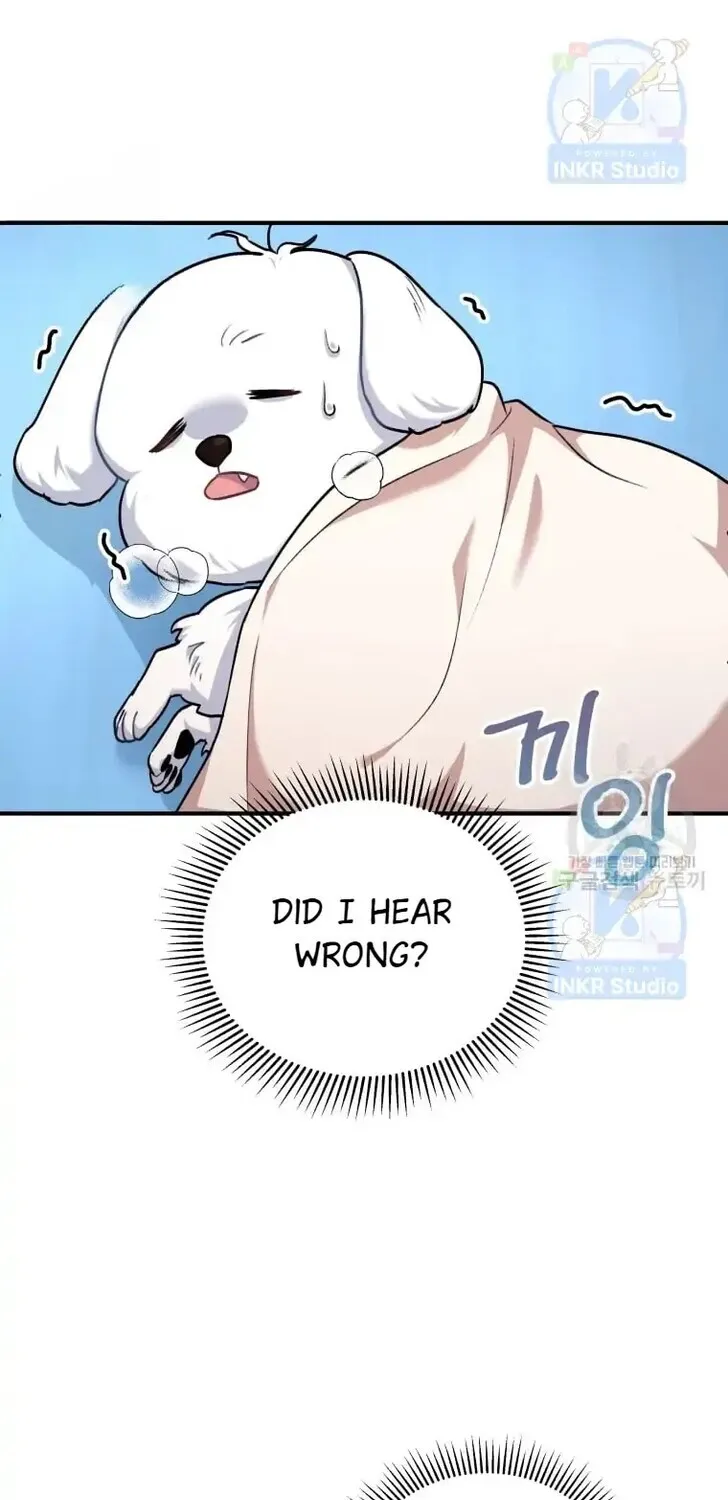 Hello, Mr. Veterinarian! Chapter 1 page 84 - 