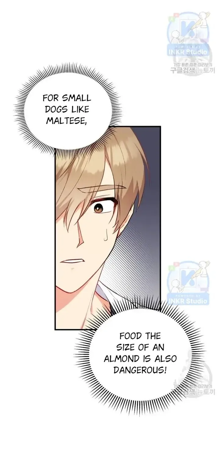 Hello, Mr. Veterinarian! Chapter 1 page 96 - 