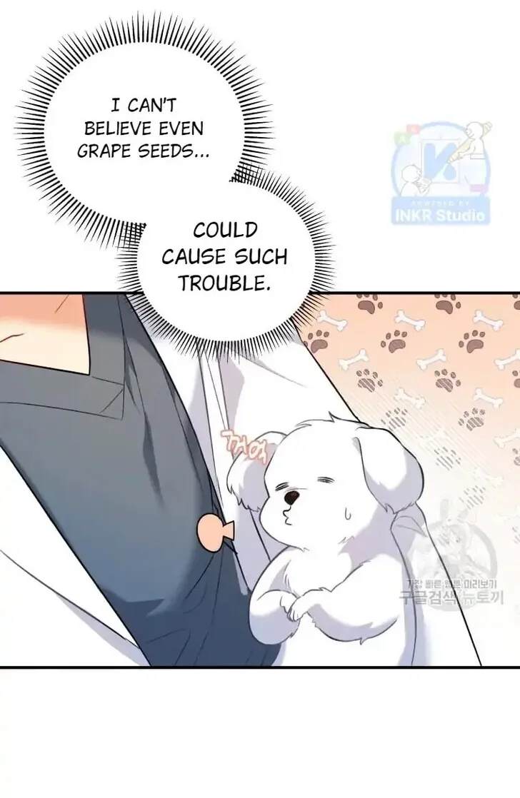 Hello, Mr. Veterinarian! Chapter 1 page 97 - 