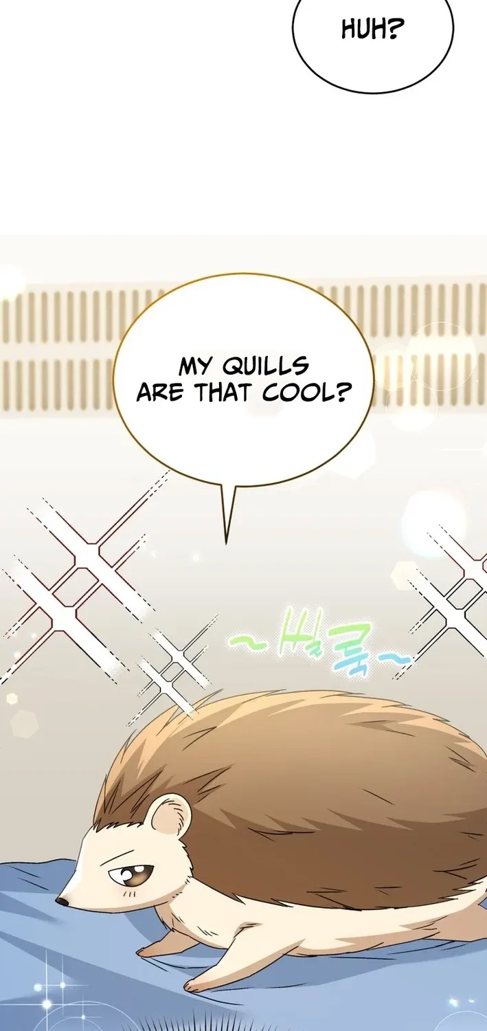 Hello, Mr. Veterinarian! Chapter 100 page 13 - 