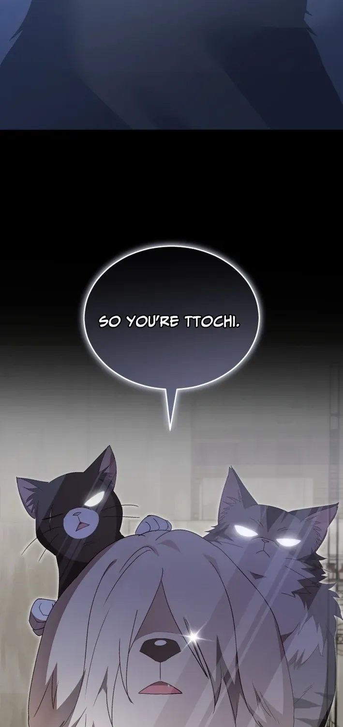 Hello, Mr. Veterinarian! Chapter 100 page 29 - 