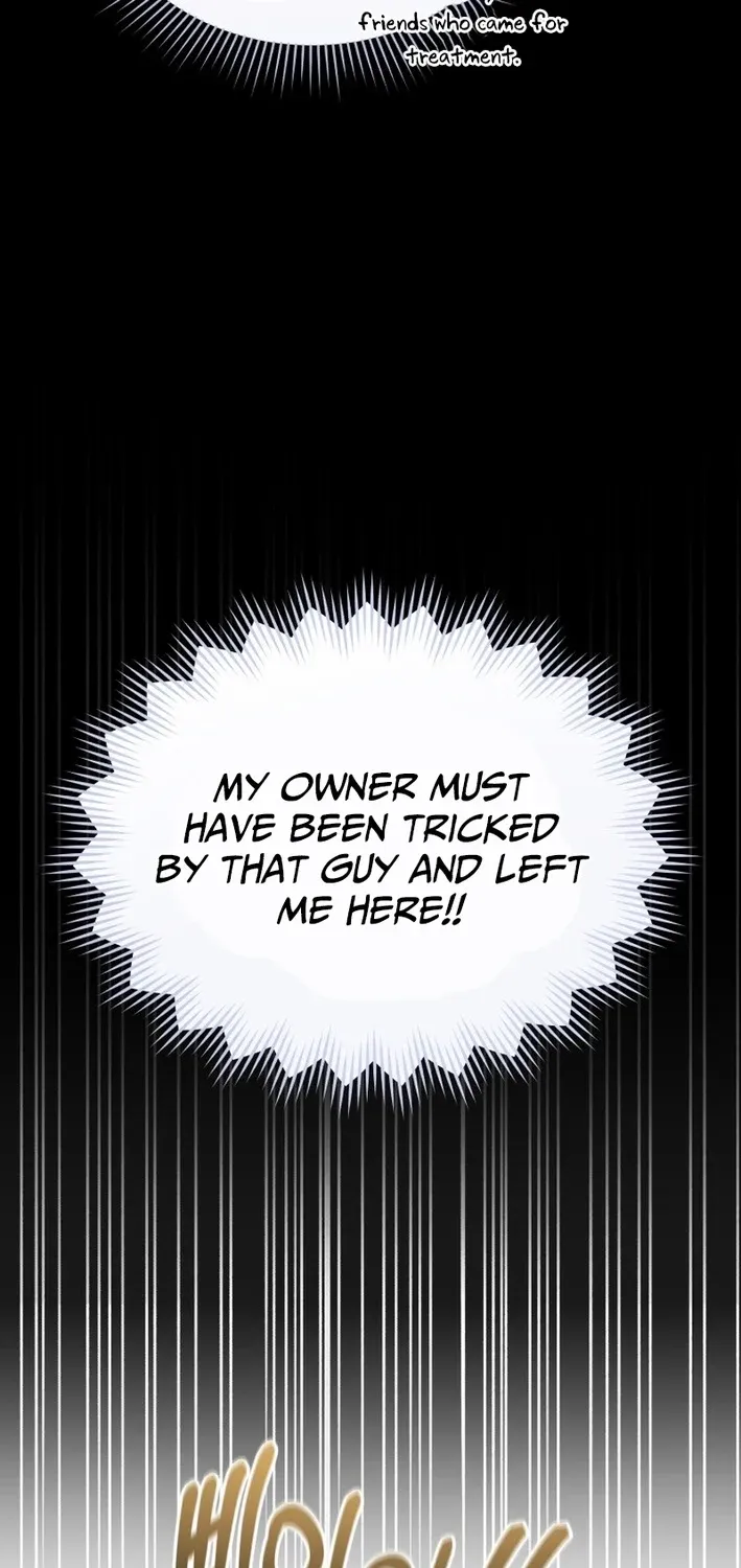 Hello, Mr. Veterinarian! Chapter 100 page 33 - 