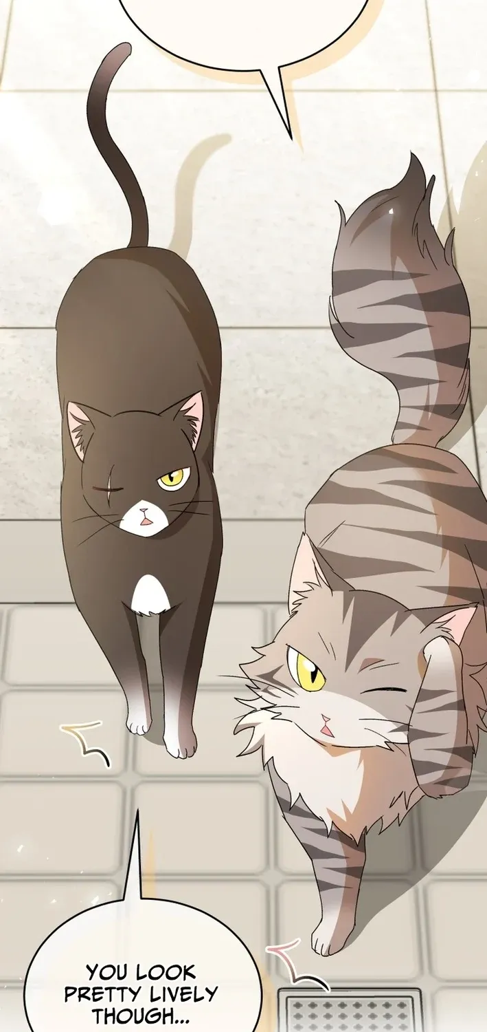 Hello, Mr. Veterinarian! Chapter 100 page 35 - 