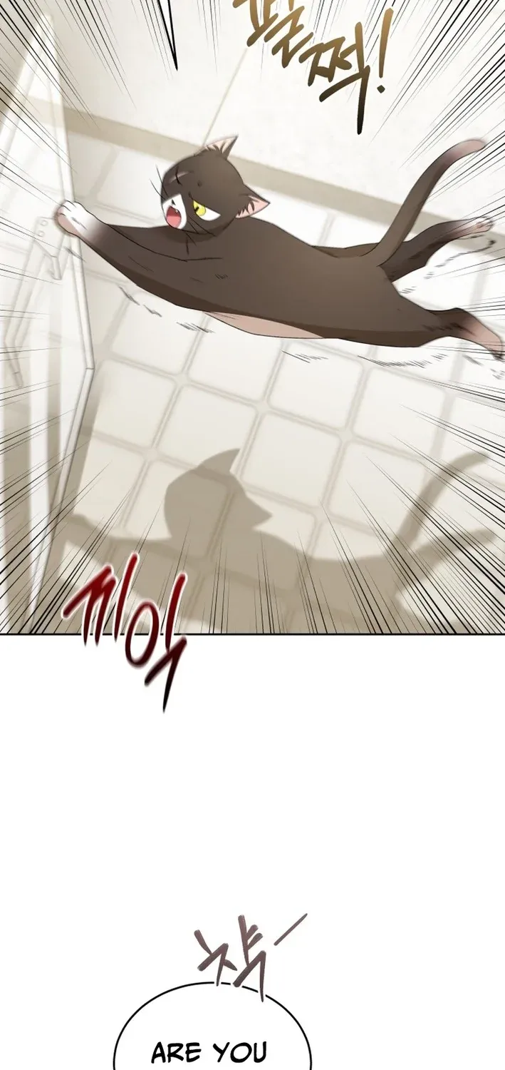 Hello, Mr. Veterinarian! Chapter 100 page 39 - 