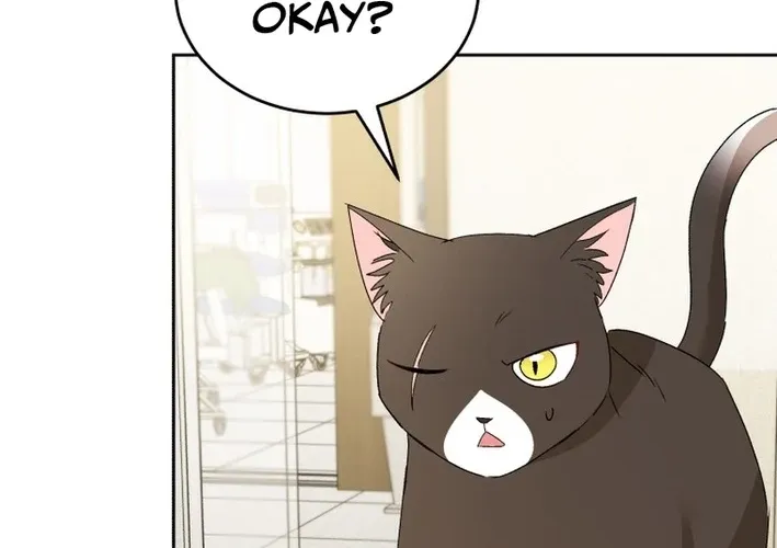 Hello, Mr. Veterinarian! Chapter 100 page 40 - 