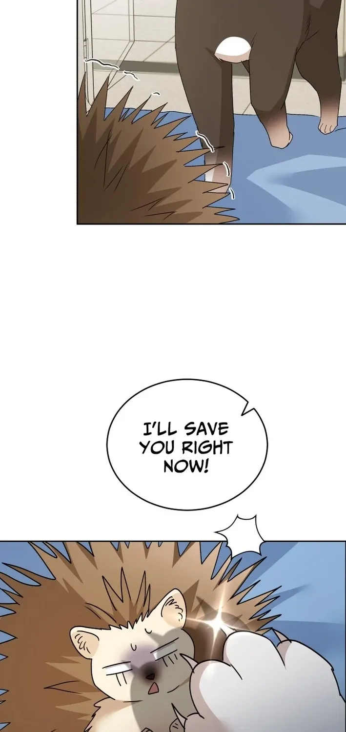 Hello, Mr. Veterinarian! Chapter 100 page 41 - 