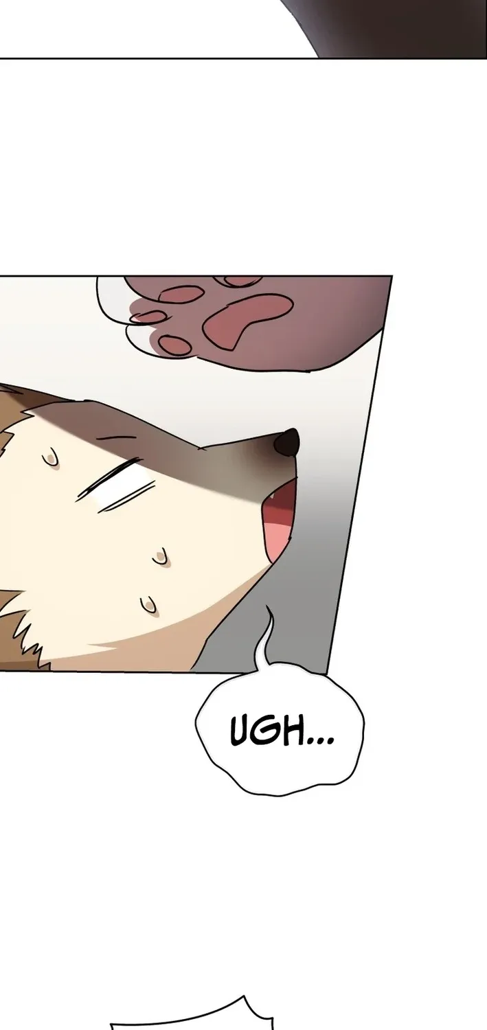 Hello, Mr. Veterinarian! Chapter 100 page 43 - 