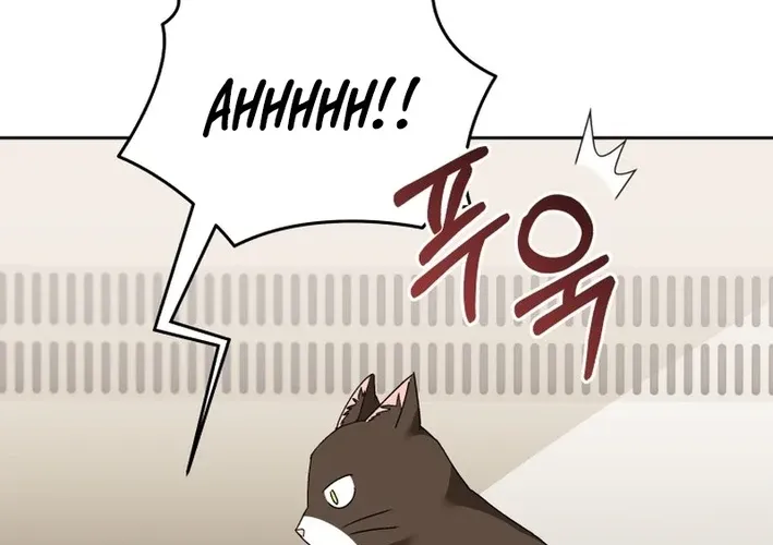 Hello, Mr. Veterinarian! Chapter 100 page 44 - 